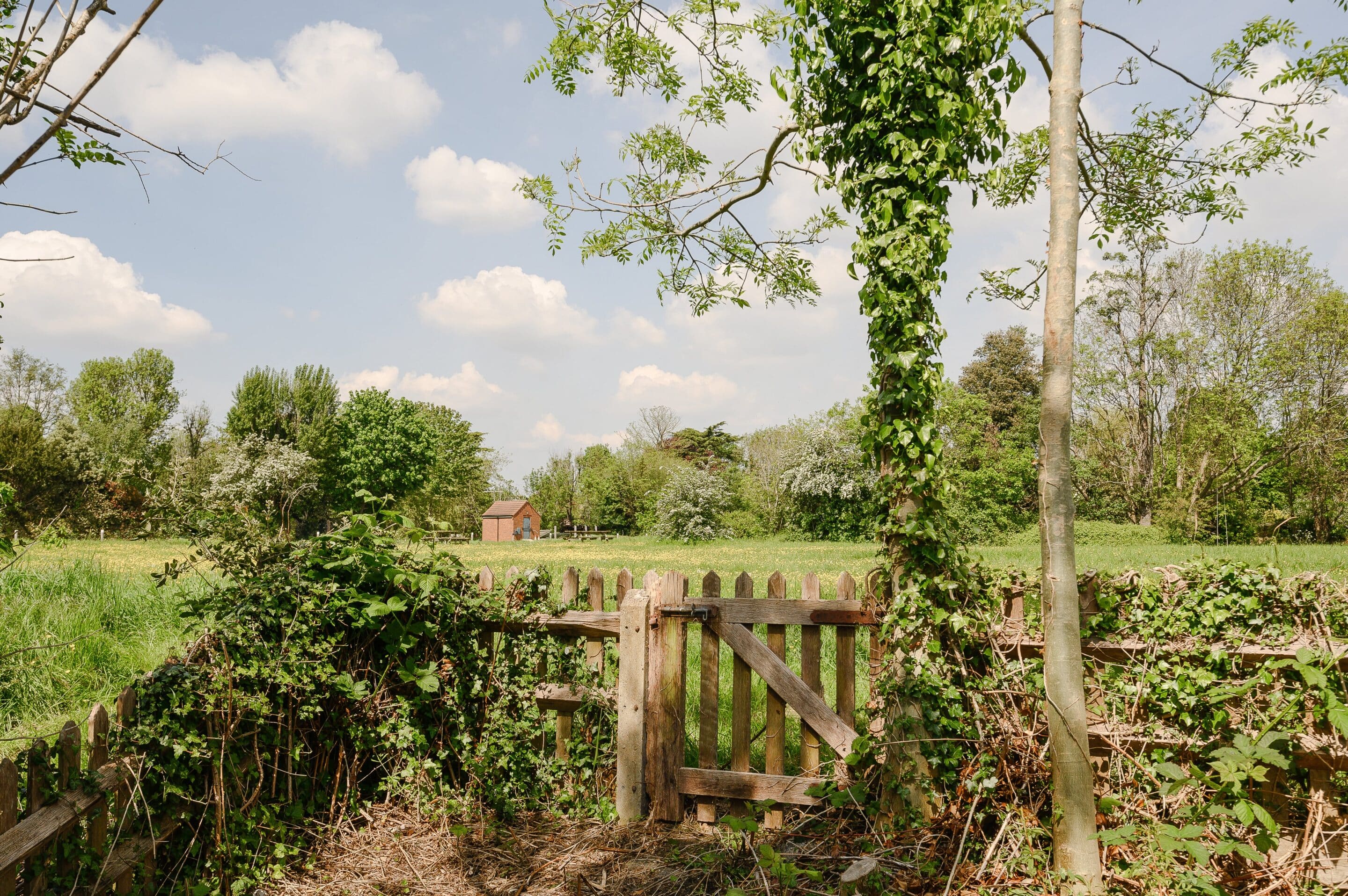 3 Bedrooms, Ember Farm Way, East Molesey